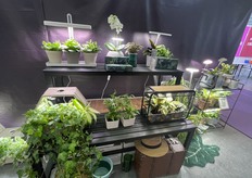 Hangzhou Zhuangcheng Company focuses on exporting various small plant landscaping overseas.